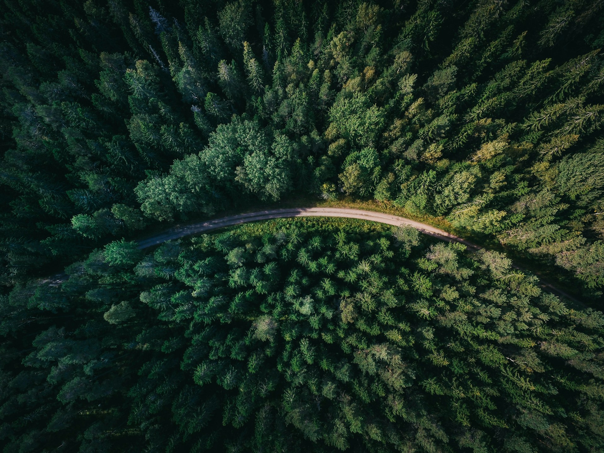 Forest Business Insurance2